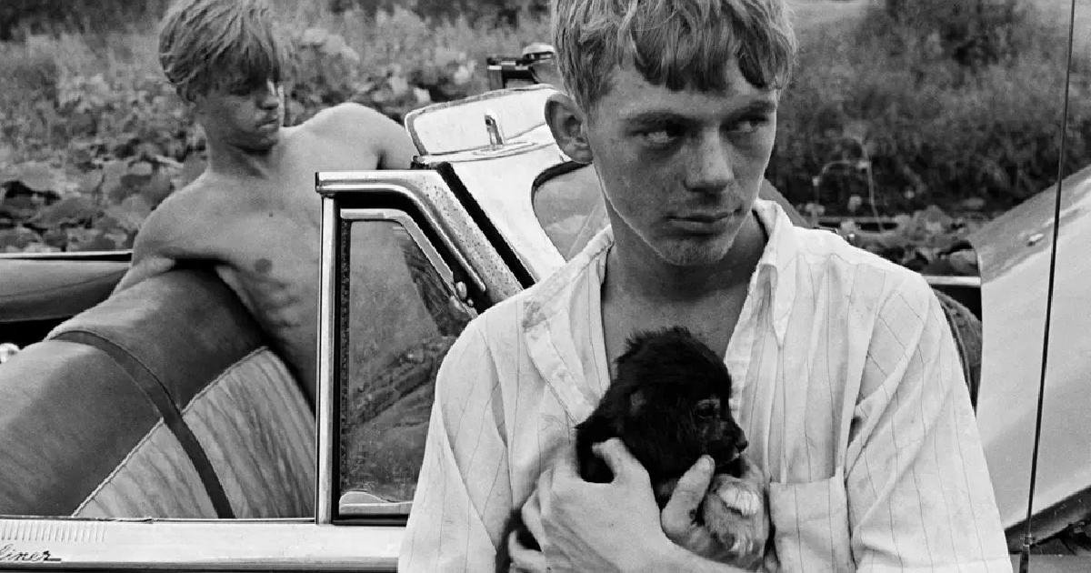 Danny Lyon's best photograph: two boys and a puppy in Knoxville